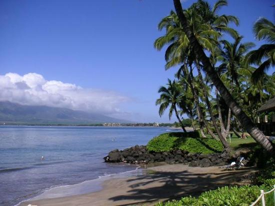 [private-beach-outside[1].jpg]