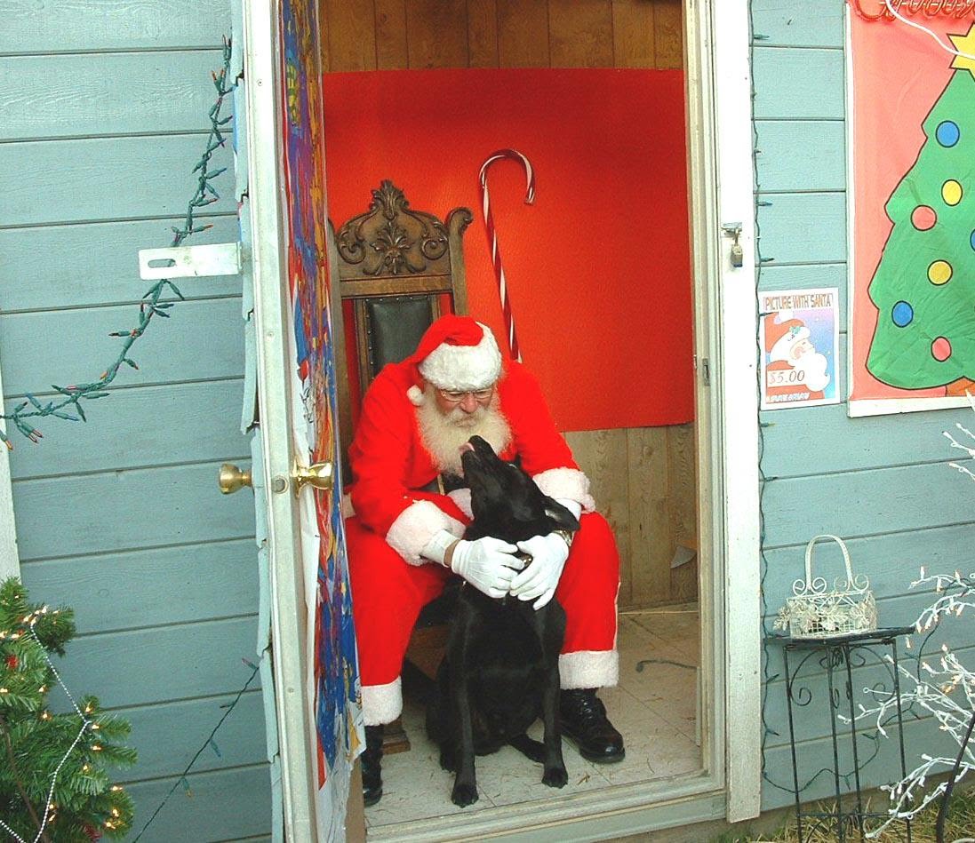[santa+and+dog.bmp]