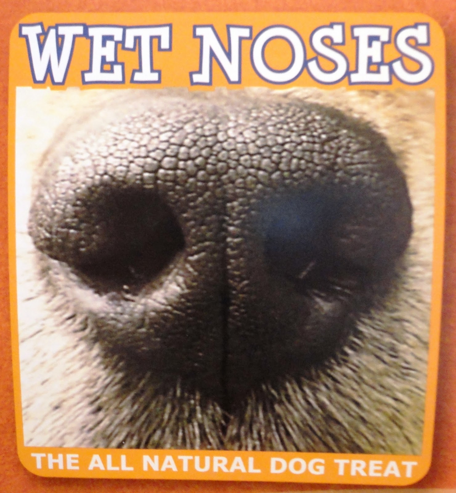 little wet noses