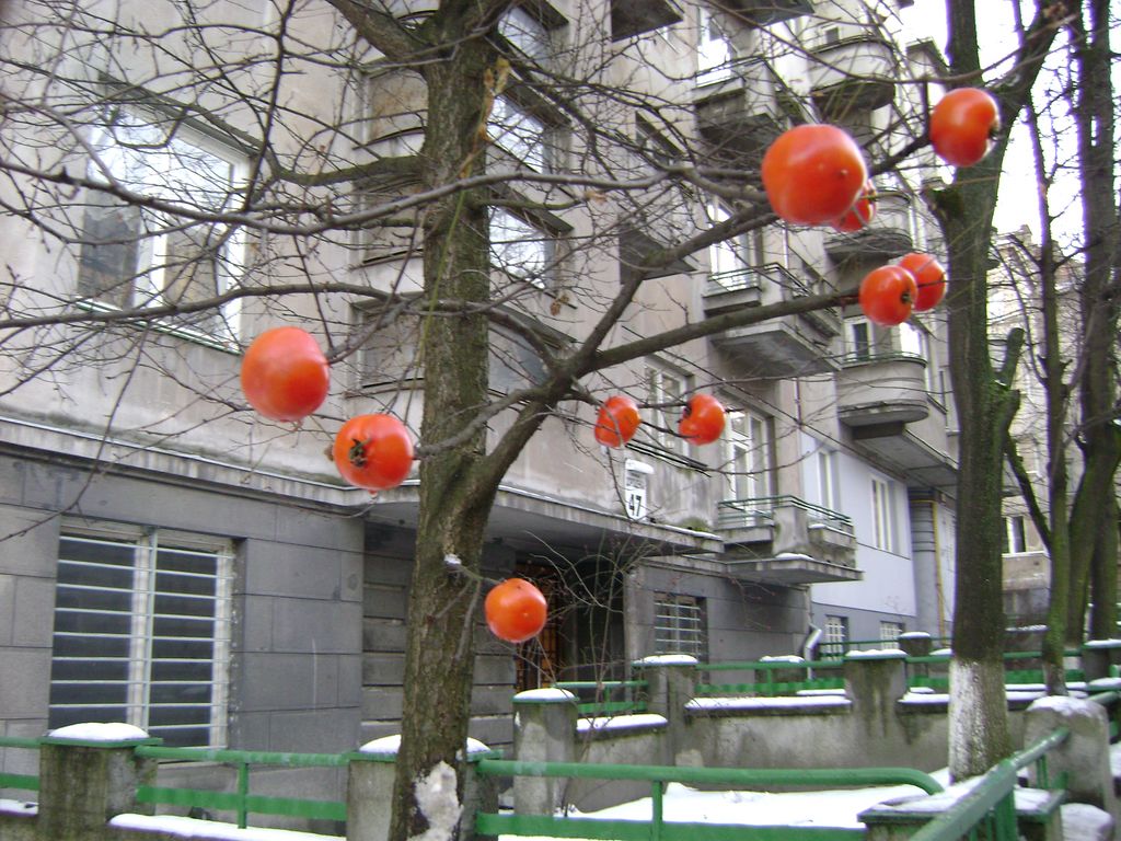 [DSC04377.JPG]