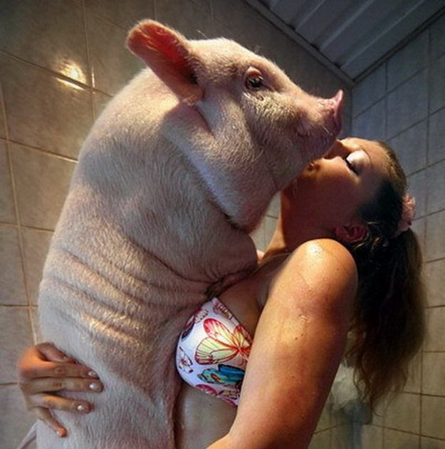 Pig nude girl xxx pic