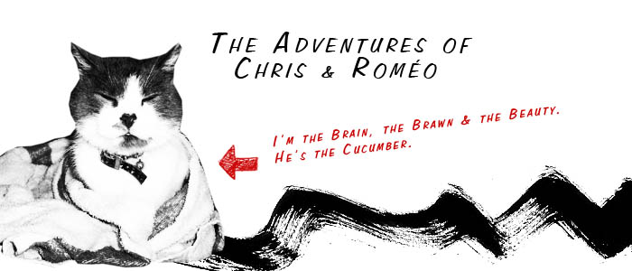 The Adventures Of Chris & Roméo
