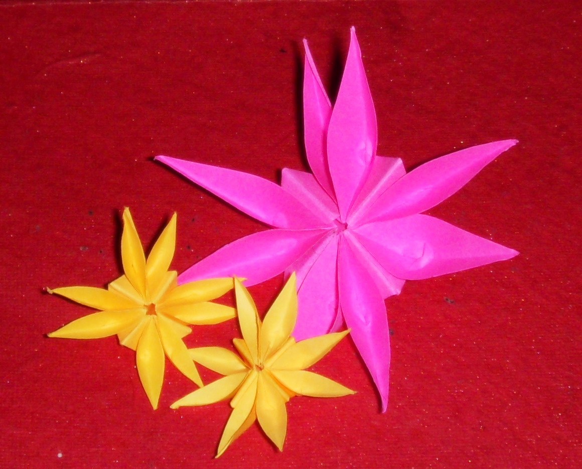 Origami Origami 8 Petal flower