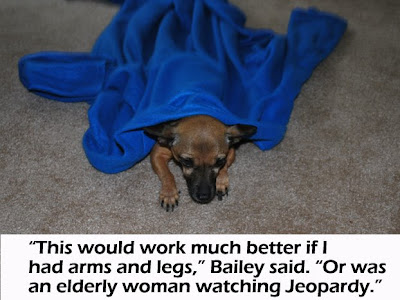 Snuggie dog wearing