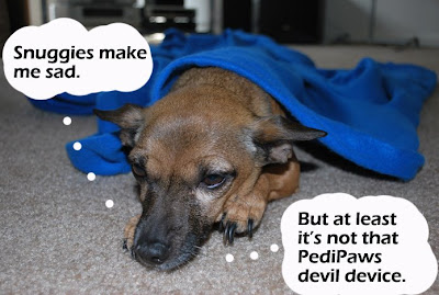 Snuggie Bailey Sad