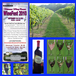 Winefest 2010 Storyboard