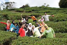 di cameron highland