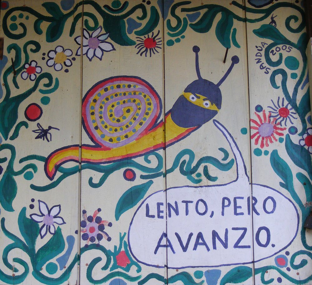 [caracol+col+col.jpg]