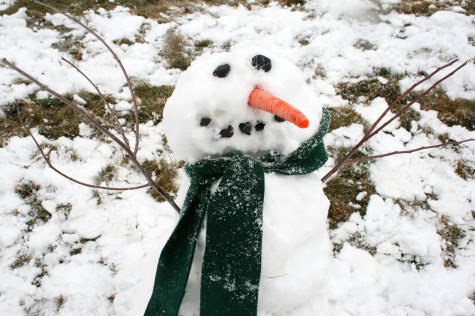 [Snowman-Craft-Kit[1].jpg]