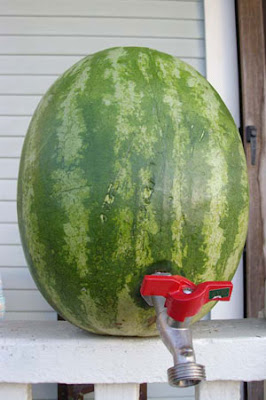 Watermelon on Tap