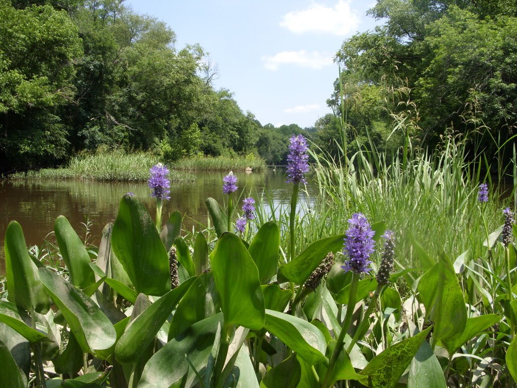 North Carolina River Fishing and Canoeing with Mack