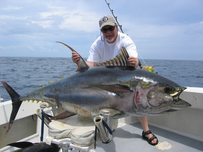 My Active Life YellowFin Tuna Fishing in the Philippines