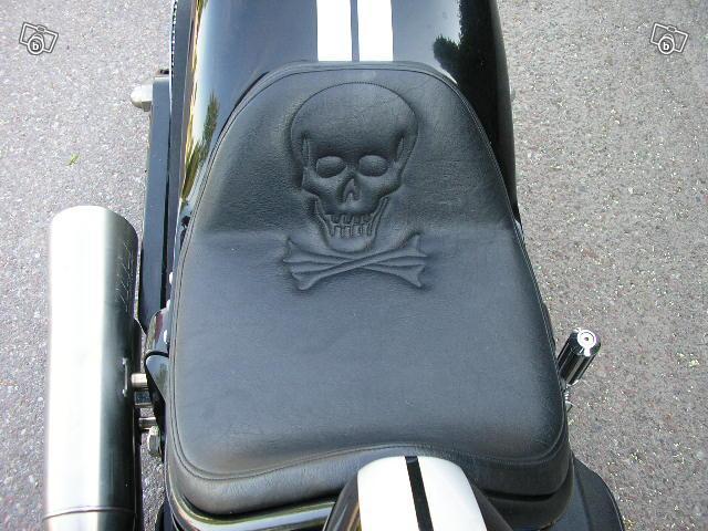 [Harley+Davidson.jpg]