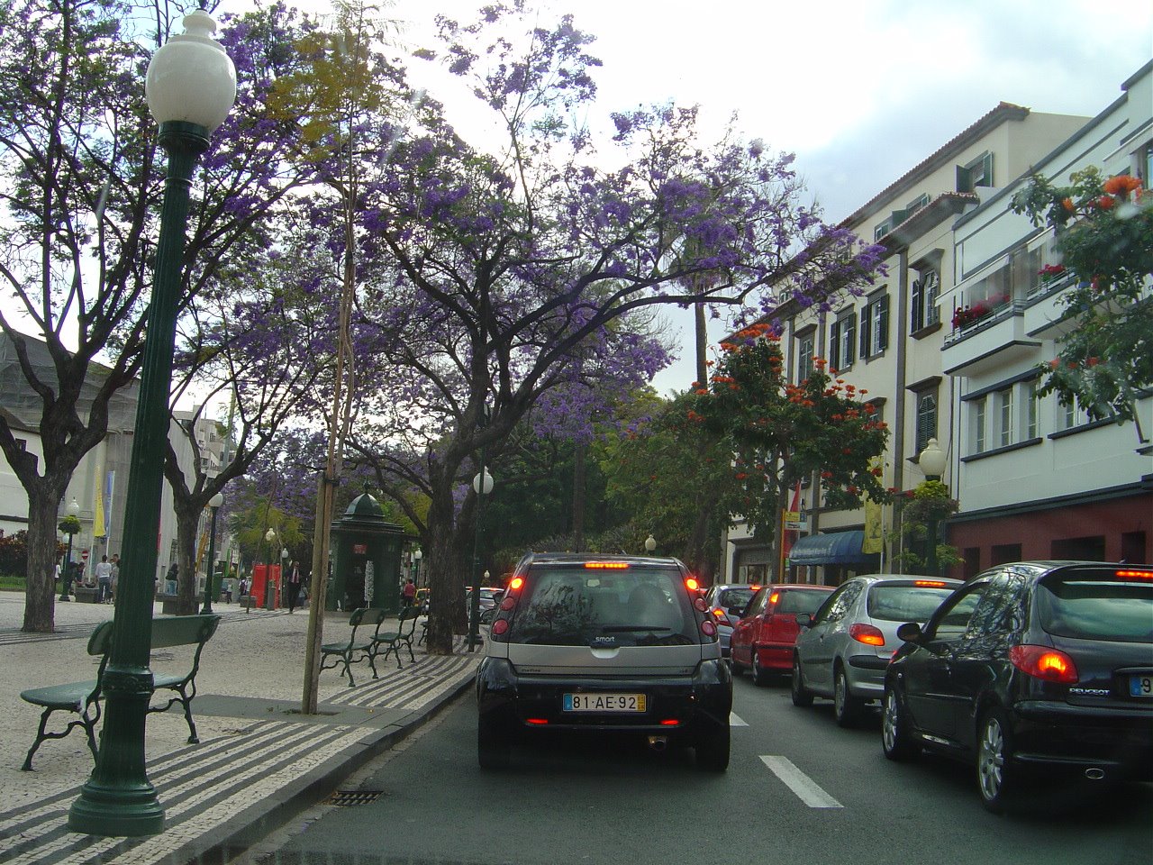 [DSC02859.JPG]