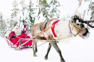 What Can You Do on a Holiday to Lapland?