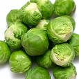 [brussels+sprout.jpg]