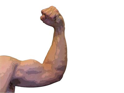 IMAGEN MUSCULO BRAZO CUERPO HUMANO imagen musculo brazo cuerpo humano: