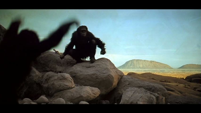 [APE_5.jpeg]
