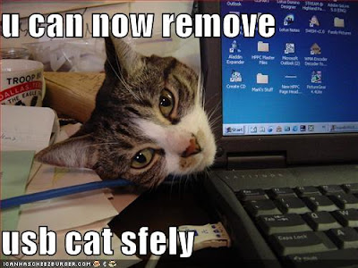 Cat Funny Usb Cat Funny Usb