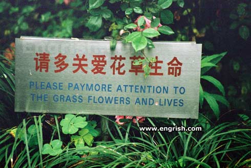 [grass-flowers-and-lives.jpg]
