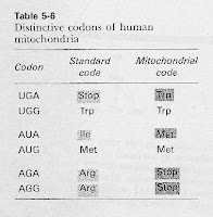 Bayblab: On Codon Usage Bayblab: On Codon Usage