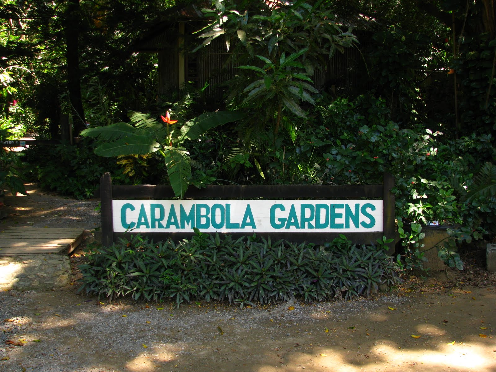 Journeying Onward Carambola Gardens