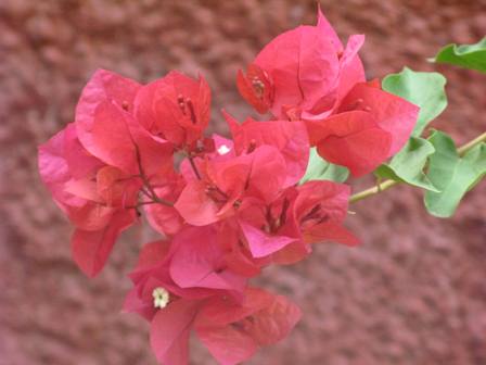 [IMG_6166.JPG]