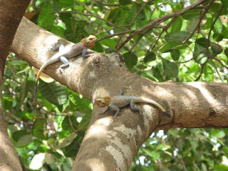 [IMG_5387.JPG]