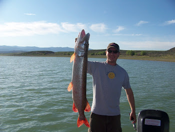 19 lb 42 inch Yuba Northern Pike