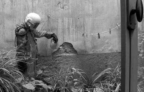 Norman reedus pictures, norman reedus fanfiction