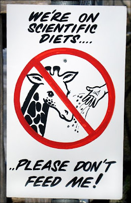 Don't feed sign