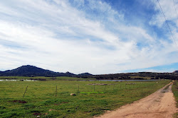 Highland Valley Views