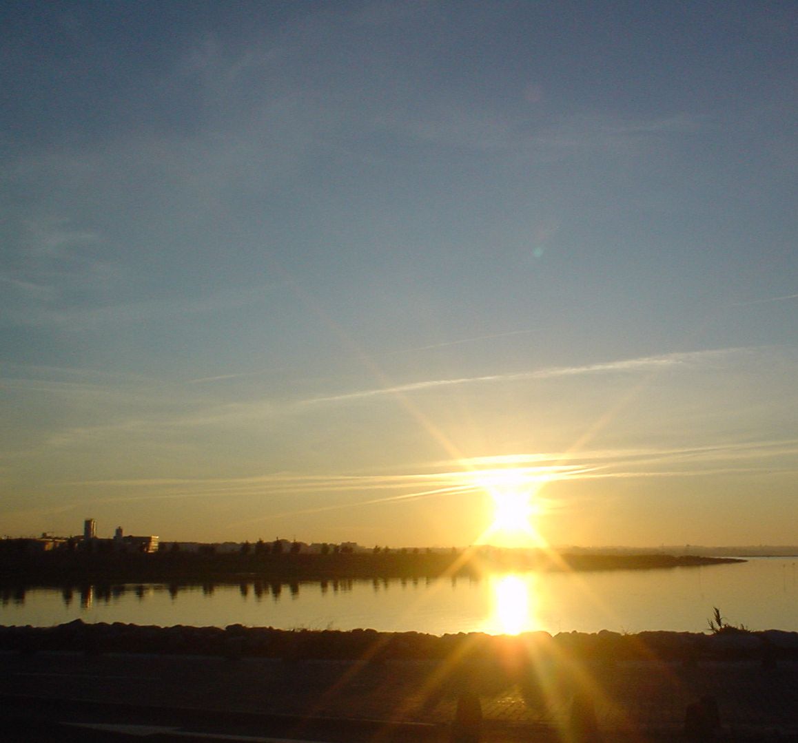 [DSC05284.JPG]