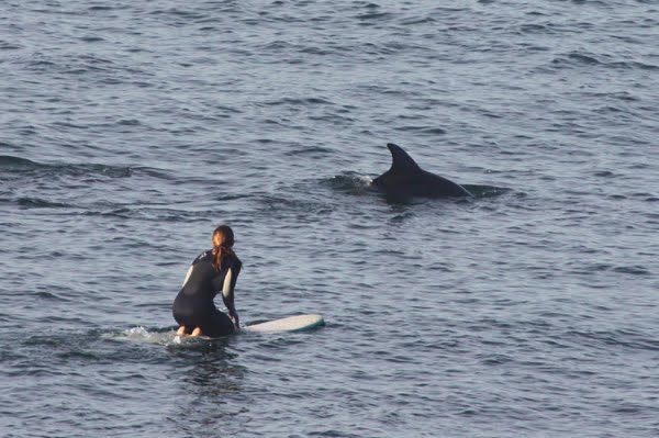 [RD_dolphin_friend.jpg]