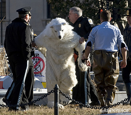 [polar-bear-arrested.jpg]