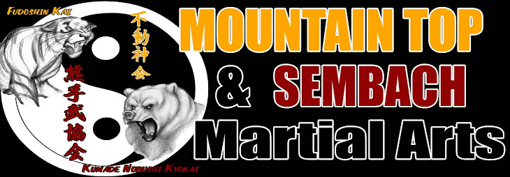 Mountain Top & Sembach Martial Arts