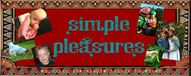 Simple Pleasures