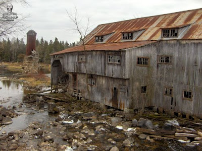 the living necropolis balaclava