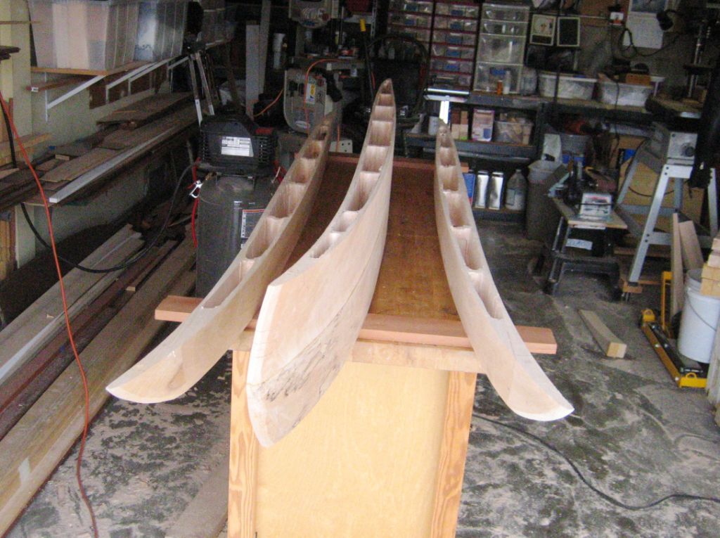 [Mid+sections-chambered.JPG]