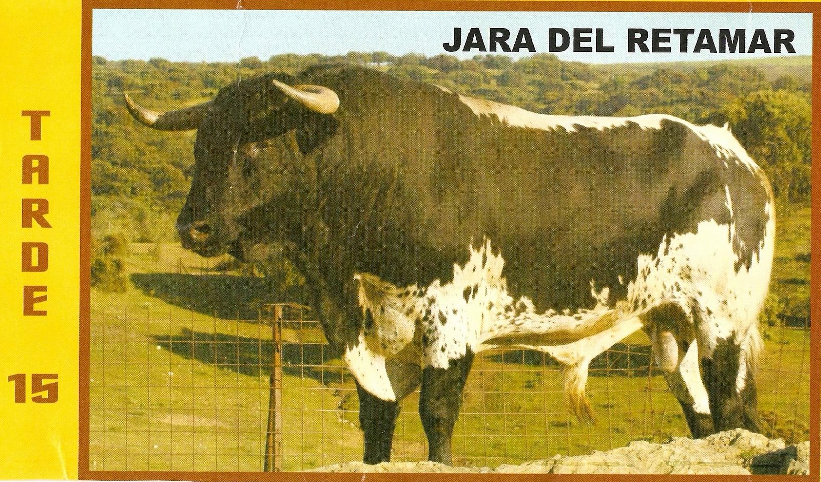 [tarde15jara1.jpg]