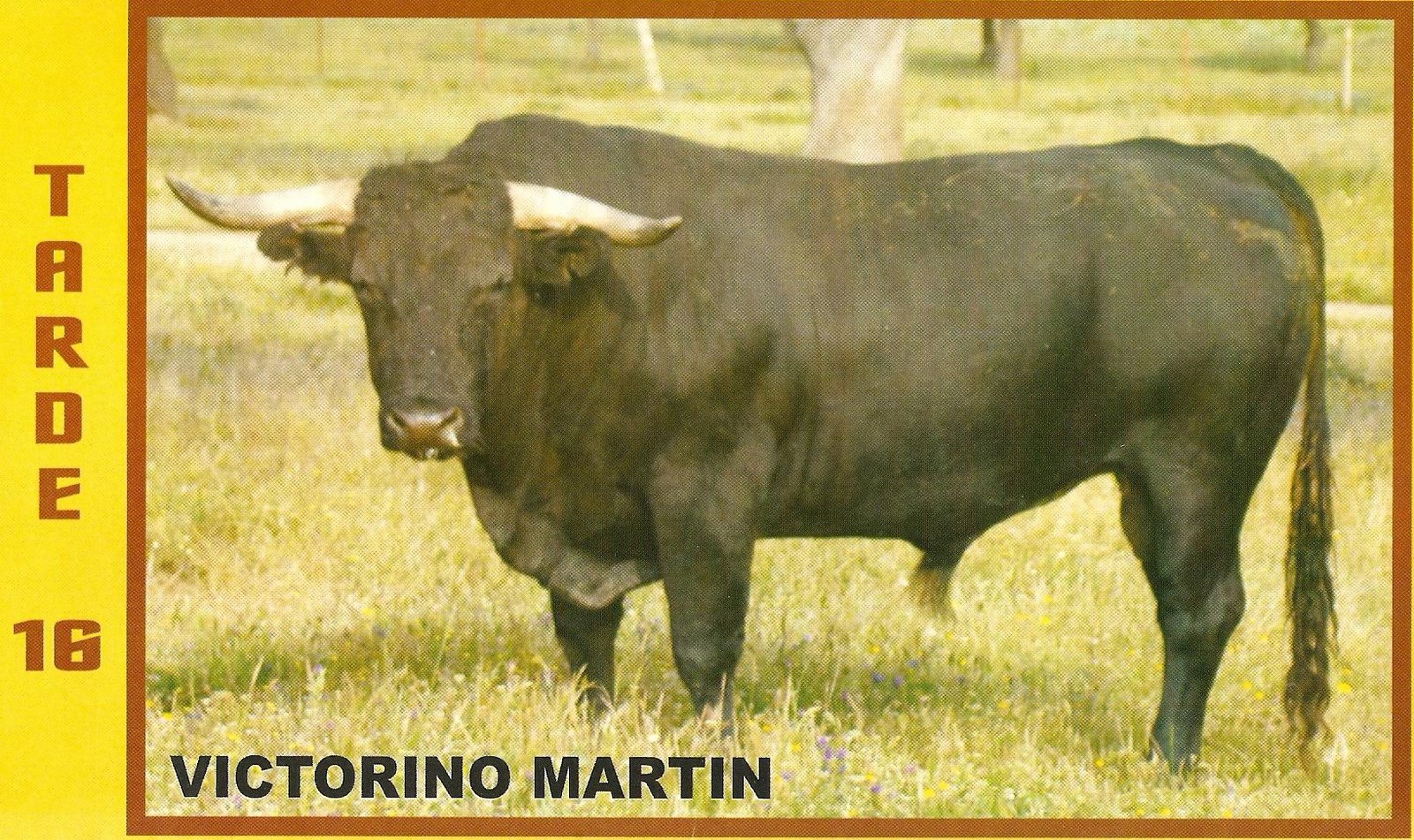 [tarde16victorino.jpg]