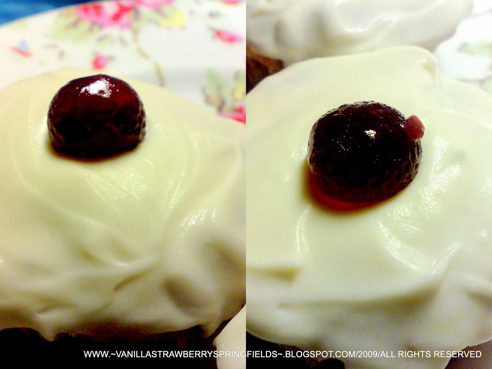 Spring Loaded Cake Pan Spring Loaded Cake Pan