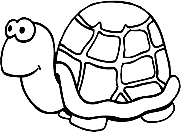 ciencias naturales los seres vivos dibujos para colorear