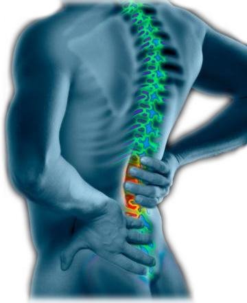 [LowerBackPain1.bmp]