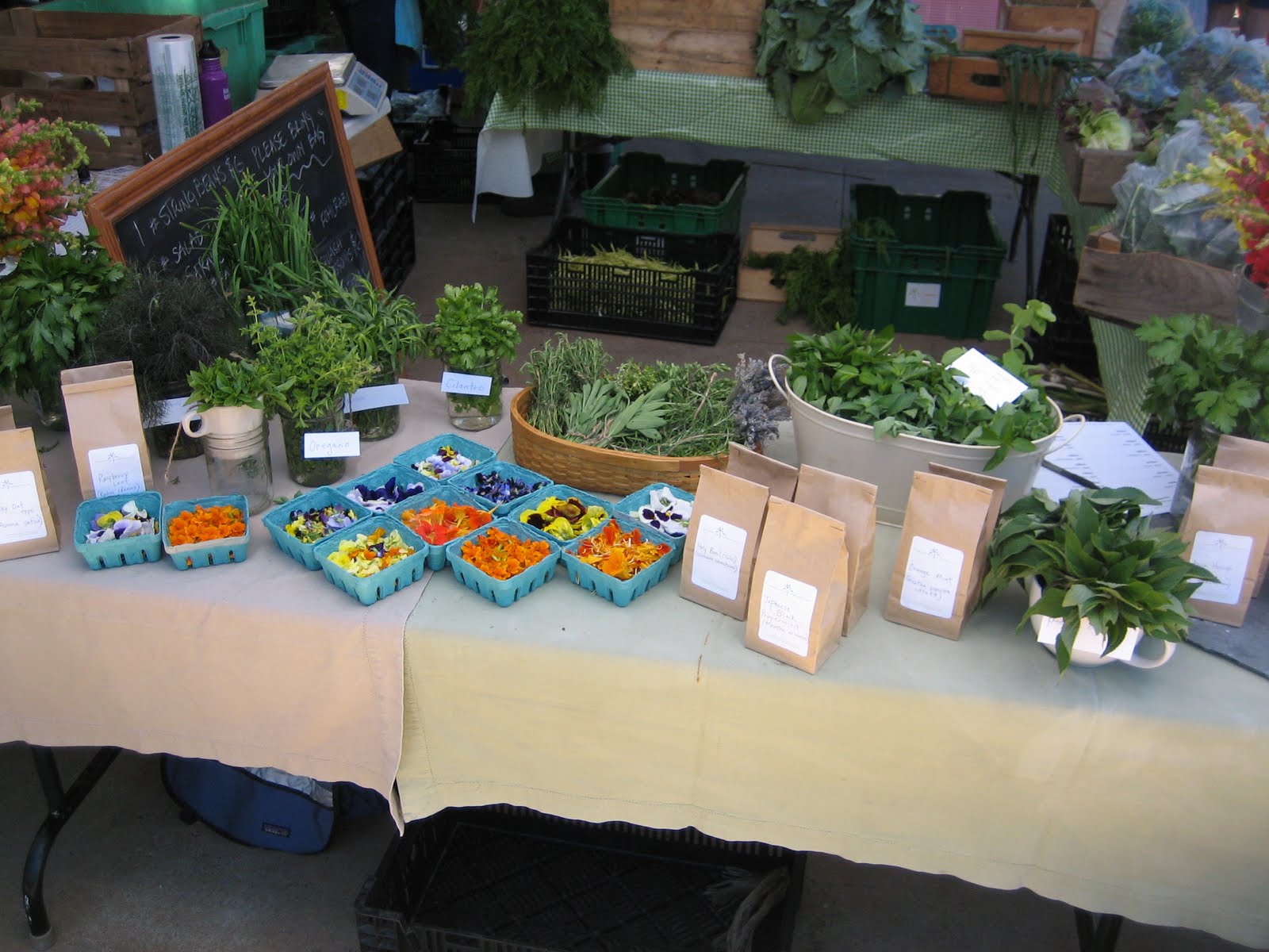 Have You Ever Picked A Carrot A Day At The Market Red Barn