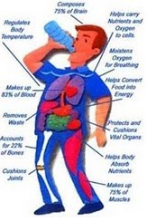 Correct timing of drinking water with CMD will maximize its effectiveness on the human body.