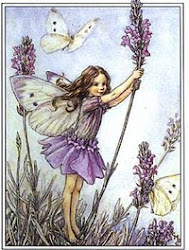 Lavender Fairy