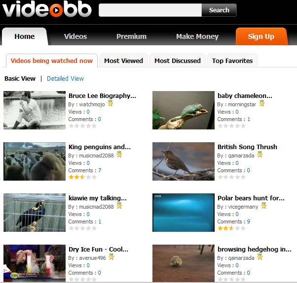 Living Online: A New Video Sharing Site, VIDEOBB