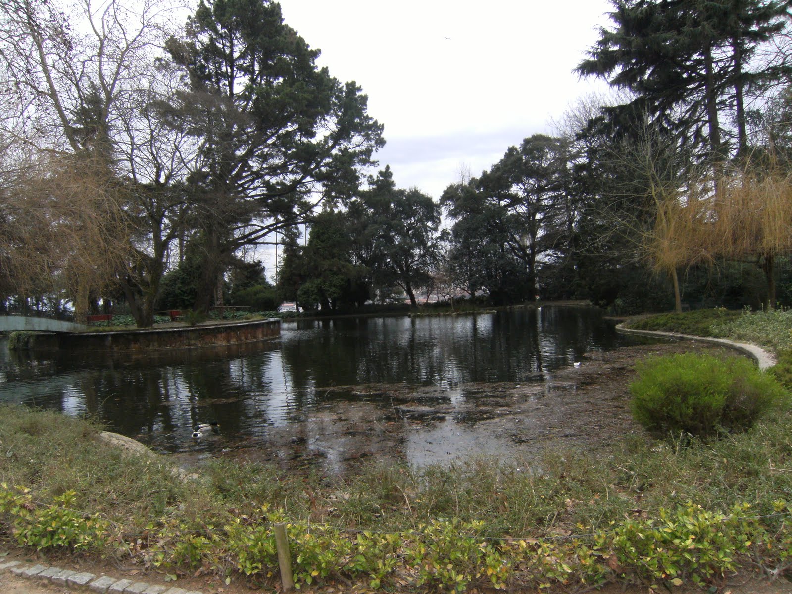 [PALÁCIO+008.JPG]