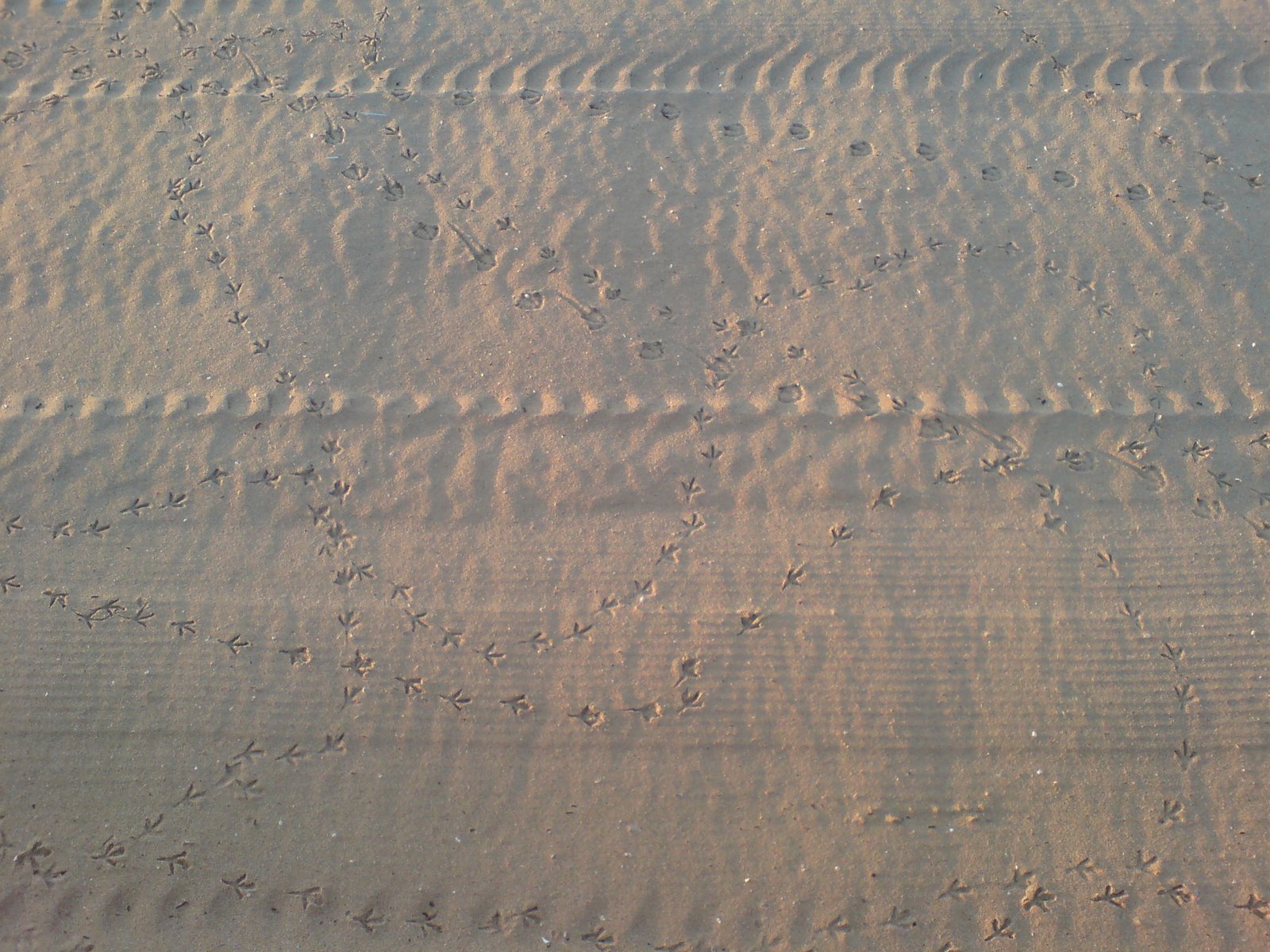 [DSC01428.JPG]